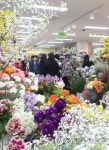 용전동꽃도매시장;화평꽃집 | 봄꽃 가득한 꽃시장