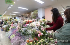 용전동꽃도매시장;화평꽃집 | 봄꽃 가득한 꽃시장