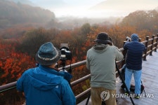 비밀의정원/뮤즈돌 | 가을 단풍 품은 인제 '비밀의 정원'