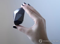 우주서 온 블랙 다이아몬드 '디 이니그마', 51억원에 팔렸다