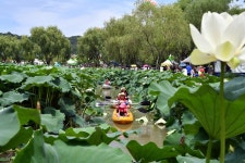 Foto aus Naver-Suchergebnissen 2
