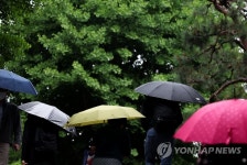 녹음의 계절을 향하여