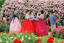 รูปภาพผลการค้นหา Naver 5