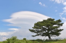 뜬구름1민박 | 제주 하늘에 뜬 렌즈구름