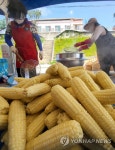 제철세라믹구내식당 | '제철 옥수수 맛보세요'