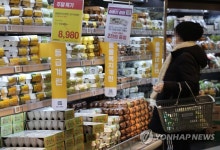 젊은농부축산물도매센터 | 고병원성 AI 확산세…오리고기·달걀 도매가 한달새 10% 올라