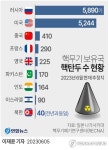 "세계 핵탄두 1만2천520발…북한에는 40발"