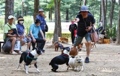 매헌시민의숲 반려견 놀이터 13일부터 개장