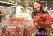 현대백화점 무역센터점, 국내산 신품종 '슈팅스타 포도' 판매