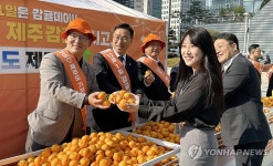 농업회사법인 제주의자랑 주식회사(4종) | 감귤데이·제주도 고향사랑기부 이벤트