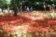 Фото из результатов поиска Naver 6