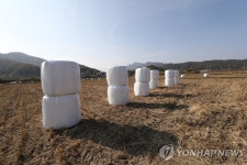 대한사료할인점.동아원사료안동총판사조 | 경북도, 가축 사료 생산 지원에 292억원 투입