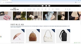 "코치 가방 100만원짜리를 2만원에"…해외 쇼핑몰 사기주의보