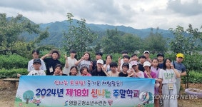 영월 예밀포도마을에서 포도 따기 체험