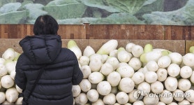 너무 오른 무, 선뜻 고르기가 힘들다