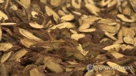 감초당약업사(감초아재몰) | 모든 처방에 포함되는 약재…산림청 2월의 임산물로 '감초' 선정