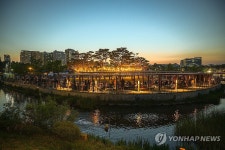 산책하며 즐기는 낙화