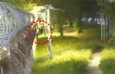 더밀평택해양경찰서점 | 인천항서 울타리 넘어 밀입국 시도…30대 외국인 선원 검거