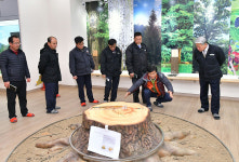 피노키오그림나라공방 | 삼척시, 유리나라·피노키오나라 현장 점검