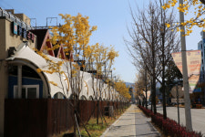 한국전기안전관리춘천지점합 | 한전 강원본부, 춘천 풍물시장 전력설비 지중화