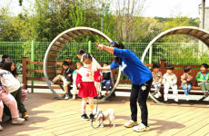 유성물류천냥시대 | 얘들아 '찾아갈개 기다려냥'…대전시 유성구, 반려동물 문화교육
