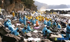 코스틱태안지사 | 코레일 서울지사, 충남 태안 기름제거 봉사활동 실시