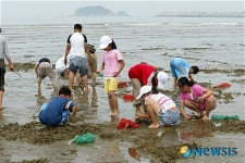 안면도 '꽃박'과 함께하는 갯벌체험