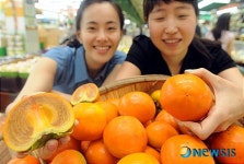 팔영태추단감농원 | 달콤하고 아삭한 햇단감 맛보세요