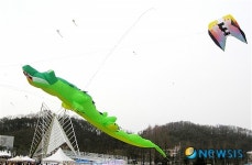 악어가 나타났다!