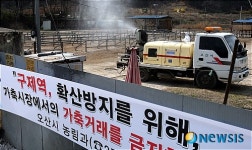 유한회사 오산축산 | 구제역 방역작업 벌이는 오산 우시장