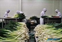 연이도매푸드 | 김제 냉동 농산물, 연이은 수출길 올라 농가 소득원 확보