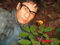산삼 60%가 야생삼…감정 투명화 절실