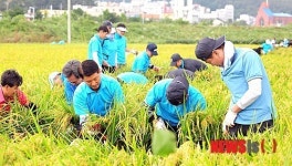 국군복지단 서울지원본부 공군7분견대 | 공군본부, 충남 태풍 피해지역 대민지원 '총력'