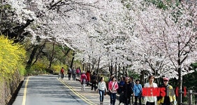 남산 오후엔티 | 남산의 오후