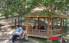 정선군, ‘오감만족’ 남산 삼림욕장 조성