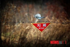 DMZ 아름다운 자연환경 사진 공모전 특선, 문공선씨의 긴장의 땅