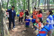 하이원 포레스토 힐링 프로그램 눈길