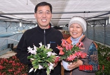 천사로농원 | "게발선인장에 천사 날개 달았죠"…음성 왕관농원