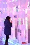 얼음나라아동점 | 얼음나라 투명광장 '얼음기둥 사이로'