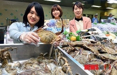 소문난집내수농협점 | 농협, 제철수산물 최대 40% 할인