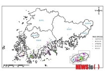 (주)난대림(4종) | 상록활엽수림 1만ha서 분포…난대림 자료구축 성공