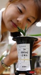 '이 춘란이 4500만원!'