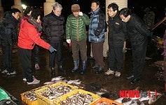 김양호 삼척시장, 어판장서 현장 소통행정