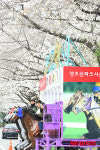 벚꽃향기 가득한 렛츠런파크 서울