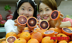 호주산직영몰서면 | 호주산 블러드 오렌지