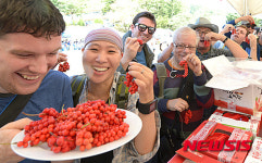 “외국인의 입맛도 사로잡은 거창 오미자”