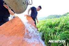 대기고등학교(저수탱크) | 물대기 작업
