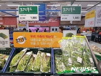 드림디포용인백암점성은마트 | 용인지역농가 생산 채소류 이마트 6개점 입점