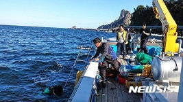 울릉분식;세정홍삼 | 울릉군, 자체생산한 어린홍해삼 20만미 방류