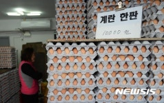 야시대 팜 계란 직판장 | 국내산 계란 한판에 '만원'